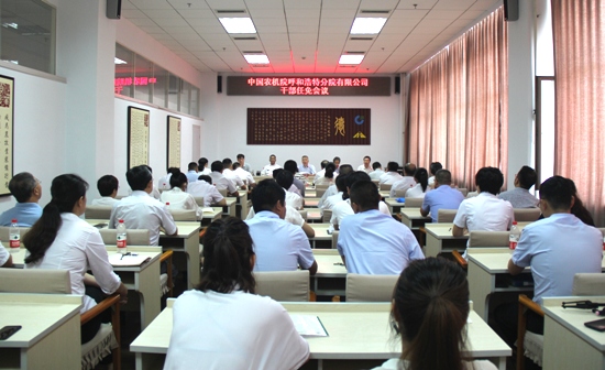 1531357517834041.jpg 550照片1.jpg