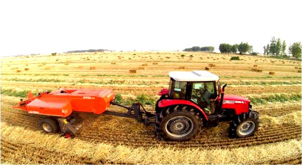 1537862192124189.jpg 600照片2.jpg