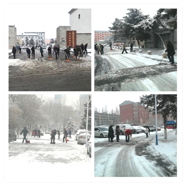 1576655315112239.jpg 6001.jpg