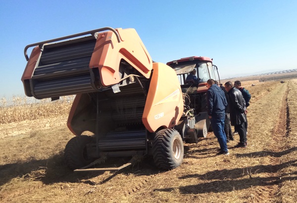 1590116715107497.jpg 圖2600.jpg