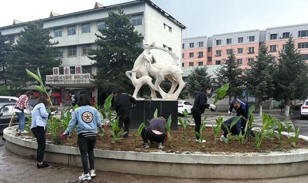 1590653396123759.jpg 600.jpg