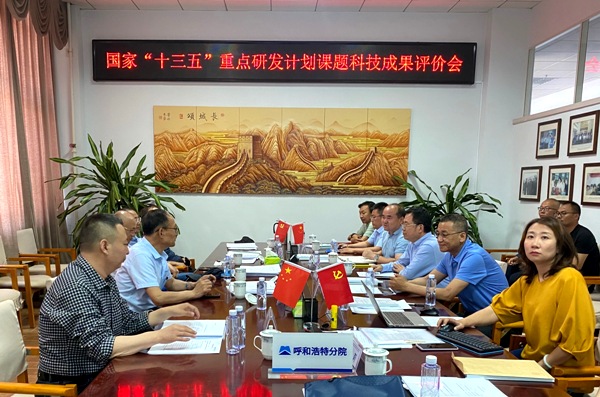 1624239638390169.jpg 600.jpg